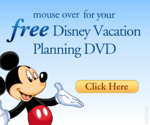 Disney Parks Dvd