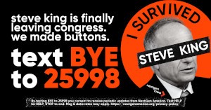 FREE I Survived Steve King Button
