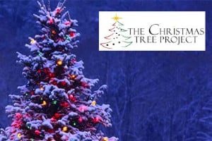 The Christmas Tree Project