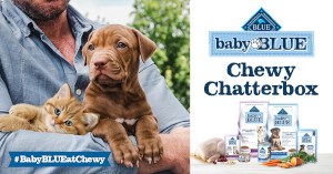 FREE Blue Buffalo Baby  BLUE ​ Chewy Chat Pack