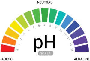 FREE pH Test Strips for Women
