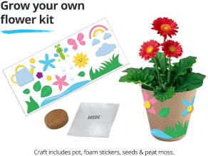 FREE Grow Your Own Flower Kit Craft Activity for Kids at JCPenney