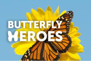FREE Butterfly Heroes Kit