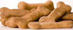 Free Samples of Doggy Delightz