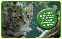 Free Trial Sample of James Wellbeloved Pet Food