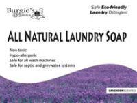 Free Sample of Burgie's Organics Natural Laundry Detergent