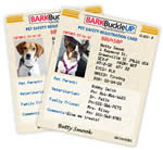 Free Bark Buckle UP Pet Safety Kit