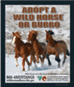 Free Wild Horse and Burro Magnet