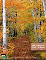 Free Wisconsin Forestry Poster