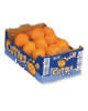 Free Box of Clementines