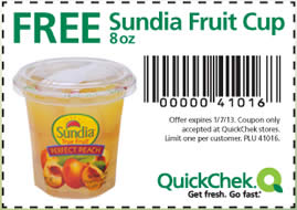 sundia-fruit-cup