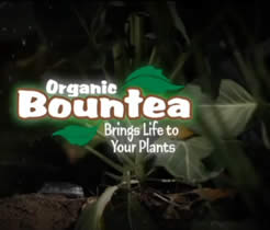organic-bountea