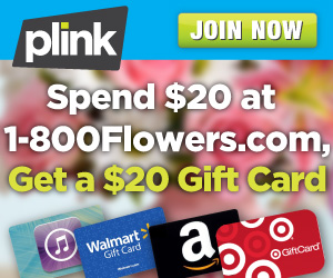 plink-1-800-flowers