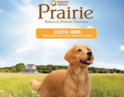 Prairie-Dog-Food