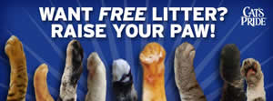 free-cat-litter