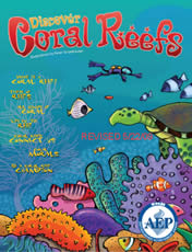 discover-corel-reefs