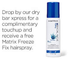 Matrix-Freeze-Fix-Hairspary