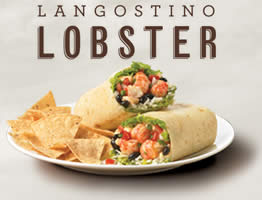 langostino-lobster