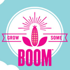 boom-seeds