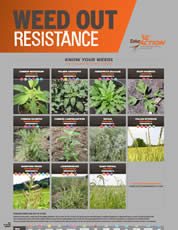 weed-out-resistance