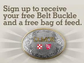 free-belt-buckle