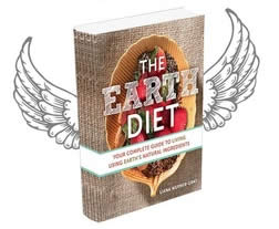the-earth-diet-book