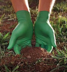 green-dex-gloves