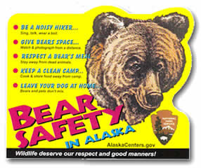 bear-safety-sticker