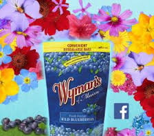 wymans-wild-flower-seeds-offer