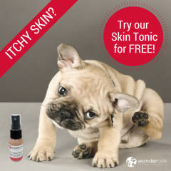 Wondercide Skin Tonic Spray for Dogs