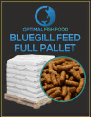 Optimal Bluegill Fish Food