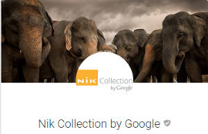 google-nik-collection
