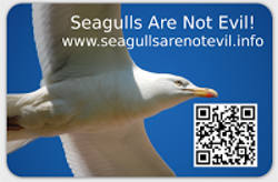 Seagulls-Are-Not-Evil