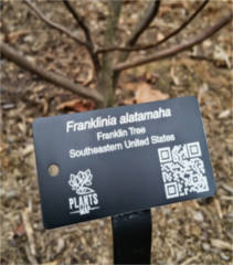customized-plant-tag
