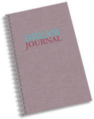 mini-journal