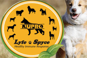 nupro-natual-pet-supplements