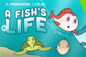 peta-fish-life
