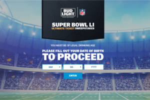 Bud Light Super Bowl LI Ultimate Ticket