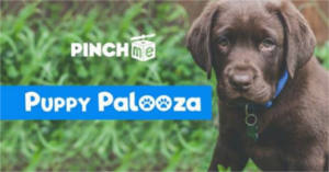 PINCHme Puppy Palooza