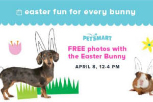 FREE Photos with the Easter Bunny at PetSmart
