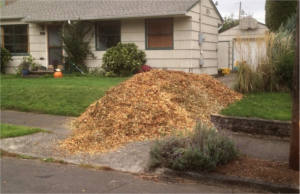 FREE Wood Chips for Your Yard