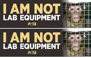 FREE PETA I Am Not Lab Equipment Sticker