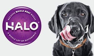 Halo Pet Solutions Event