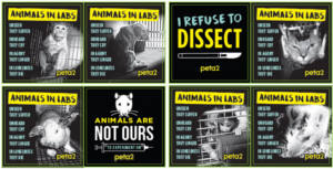 FREE Animals Are Not Ours to Experiment On Stickers
