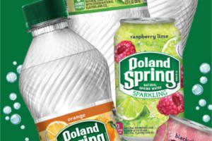Sparkling Poland Spring Brand Natural Spring Water
