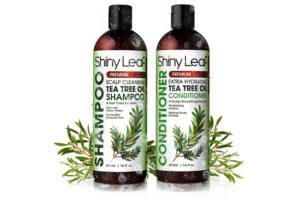 FREE Shiny Leaf Hair Care Products