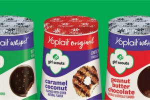 FREE Yoplait Girl Scouts Yogurt at Meijer