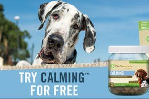 FREE Pet Naturals of Vermont Calming Dog Chews Sample