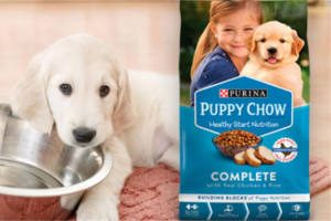 FREE Purina Puppy Chow Sample