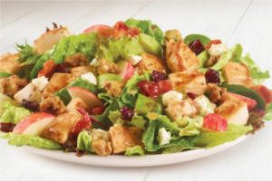 FREE Harvest Chicken Salad with ANY Purchase at Wendys